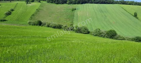 Sahibinden Yola Sıfır, Bağ Evi İzinli, Sulu 9.625 M² Tek Tapu - Çağırgan