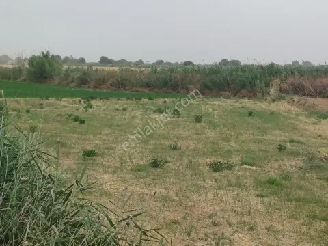 Sahibinden Acil