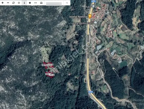 Sahibinden Ana Yola Çok Yakın 7.778 M2 Doğa Ve Orman Manzaralı Arsa.
