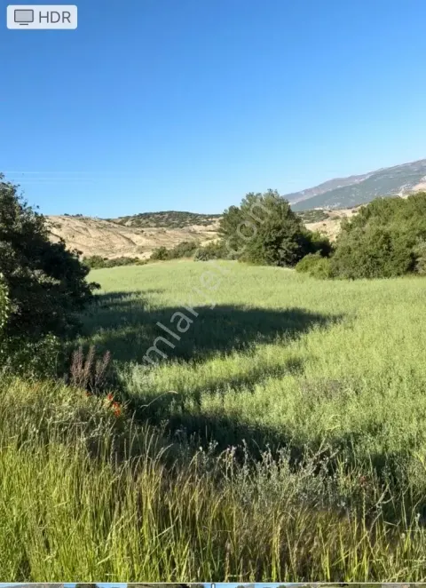Sahibinden Sivas Divriğibayırlı Köyü