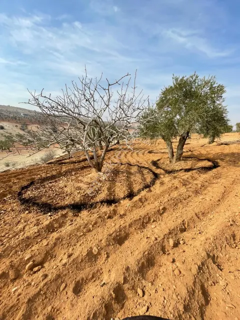 Sahibinden Tek Tapu/ Yatırımlık Arazi