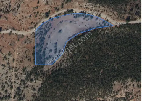 Sahibinden Ermenek Görmeli Taşdibinde Yola Cepheli 8.734 M² Hisseli Tarla