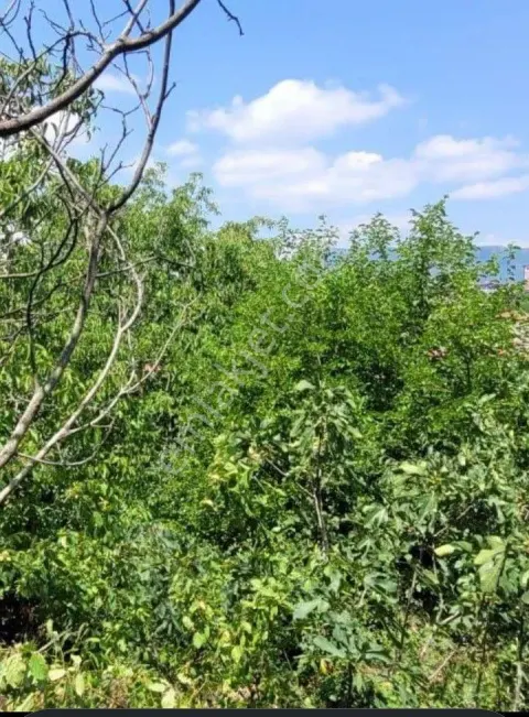 Sahibinden Safranbol Eskicarşı