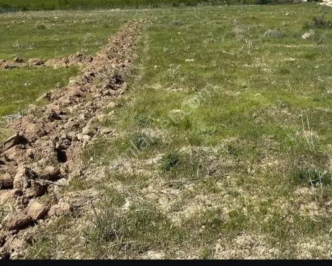 Sahibinden 78 Metre Kare Yerimiz Satilik İmarli
