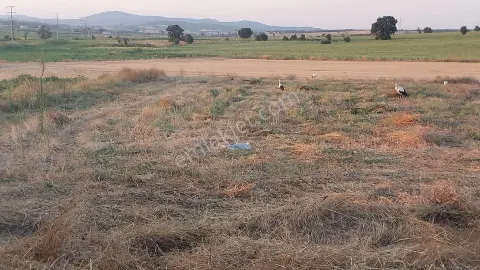 Sahibinden Vakıf Köyü Yola Yakın Tarla