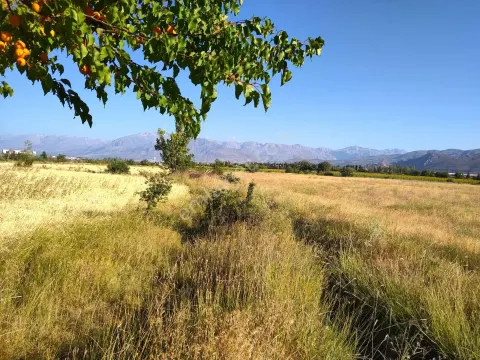 Sahibinden 6.751m² Yanlızbağ'da Sulu Tarla| Ana Yola 240m | Yatırım Fırsatı