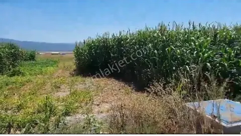Sahibinden Keçiborlu Senirde Göl Kenarı