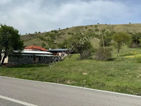 Sahibinden Tek Tapu 2164 M2 Yola Cephe Fırsat Arsa Son Fiyat
