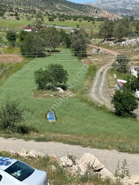 Sahibinden Acilll Satılık Muğla Seydikemer Çaltılarda Köy İçi İmarlı