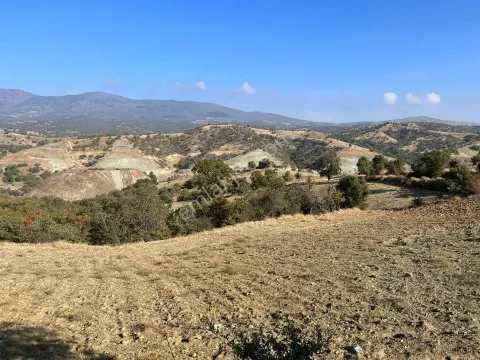 Sahibinden Uşak Eşme Manavlı'da Yola Cepheli, Su Hattı Önünde 4.420 M2 Yatırımlık Tarla