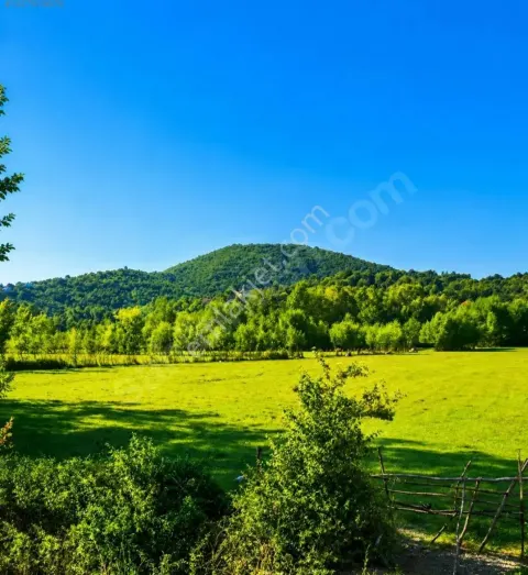 Sahibinden Çaycuma Saltukova'da 2.086 M² %30 Konut İmarlı Yatırımlık