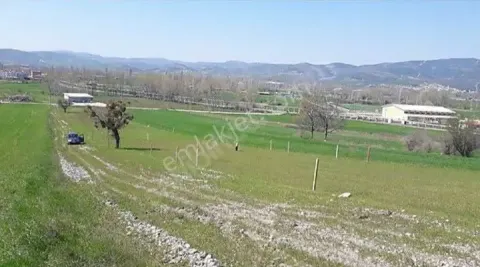 Sahibinden Kepsut Yenice'de Satılık 392 M² Konut İmarlı Arsa