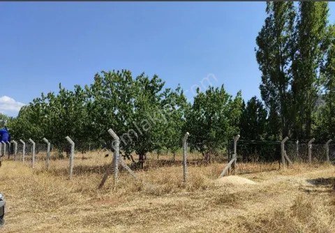 Sahibinden Satılık Hobi Bahçesi