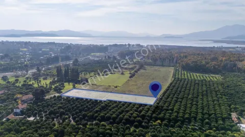 Sahibinden Muğla Köyceğiz Merkezde 4 Dönüm Arazi Göle Delta Plajına Kordona Yakın