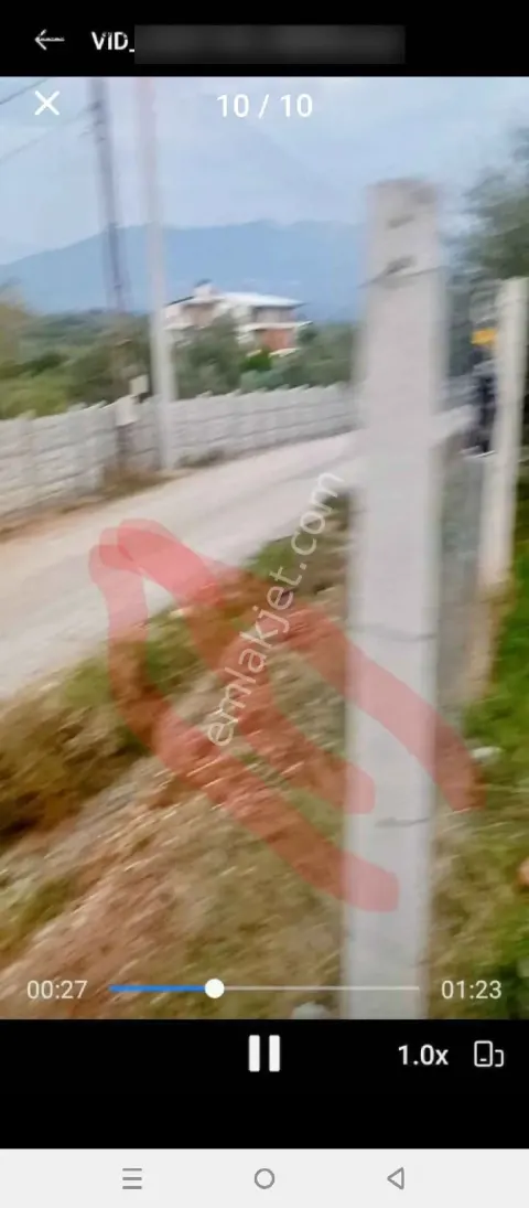 Sahibinden Uygun Fiyata Satılık Zeytinlik