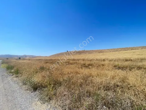 Sahibinden Uygun Fıyatlı Araç Takasına Uygun