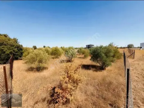 Sahibinden Döşemealtı Çıplaklıda Villa İmarlı Yatırımlık 421m² Fırsat Arsa