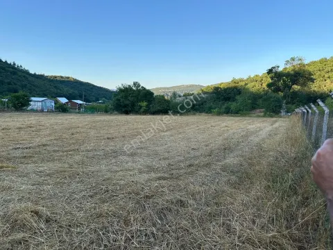 Sahibinden Kestel Gölcük Köyü Satılık Tarla 3747 M2
