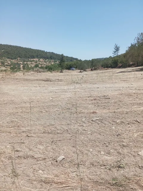 Sahibinden Yatırımlık Sahibinden Tarla