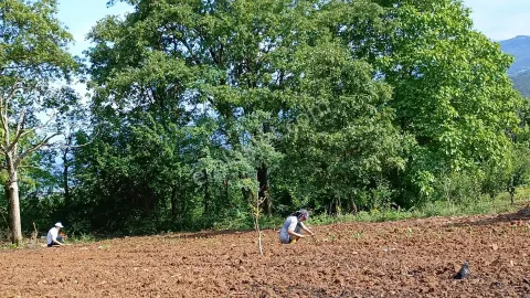 Sahibinden Satılık İnegöl Akıncılar 887 M2 Bahçe
