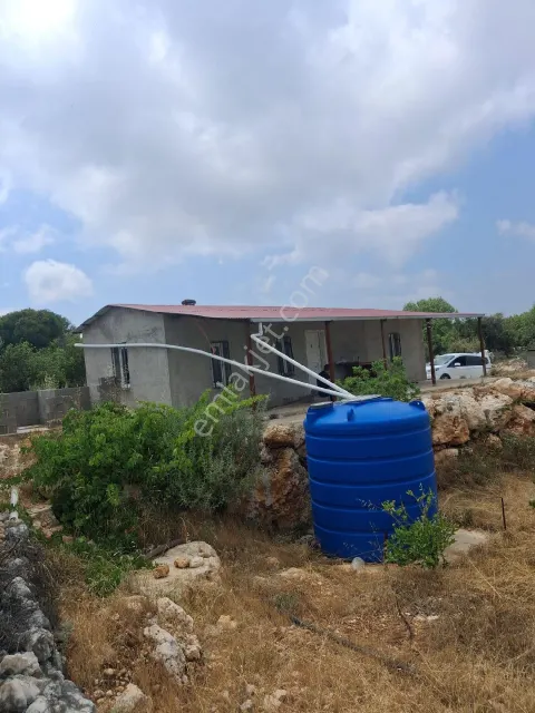 Sahibinden  Yeni Otobana 4 Km! Koylara 10 Dk! İfrazlı, Resmi Evli, 200+ Zeytinli Yatırımlık Arsa!