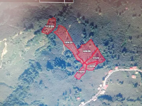 Sahibinden Fındık Bahçesi, Sahile 10 Havaalanına 15 Km