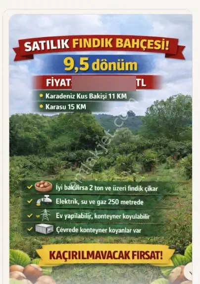 Sahibinden Ferizli Nalköy Satılık 9462 M² Verimli Fındık Bahçesi Ya Cok Amacli Kullanilabilir Açıkla