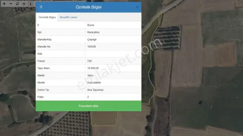 Sahibinden Karacabey Çeşnigir'de Ana Yola Cephe Satılık 1875 M² Hisse