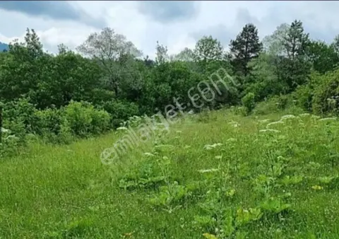 Sahibinden Bolu Mudurnu'da Huzurlu Bir Doğa İçinde Yatırım Fırsatı