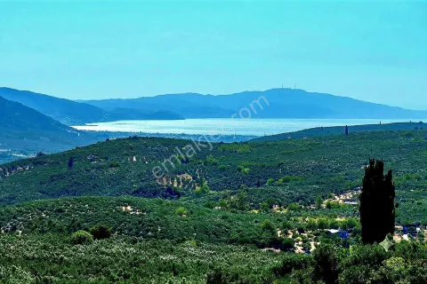 Sahibinden Hobi Bahçe Mavi İle Yeşilin Buluştuğu Deniz Manzaralı Tiny House