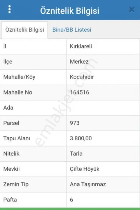 Sahibinden Kırklareli Merkez Kocahıdır 3800 M² Tarla