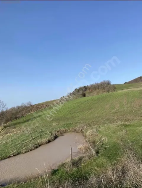 Sahibinden Doğanın İçinde 6327 M2 Arazi