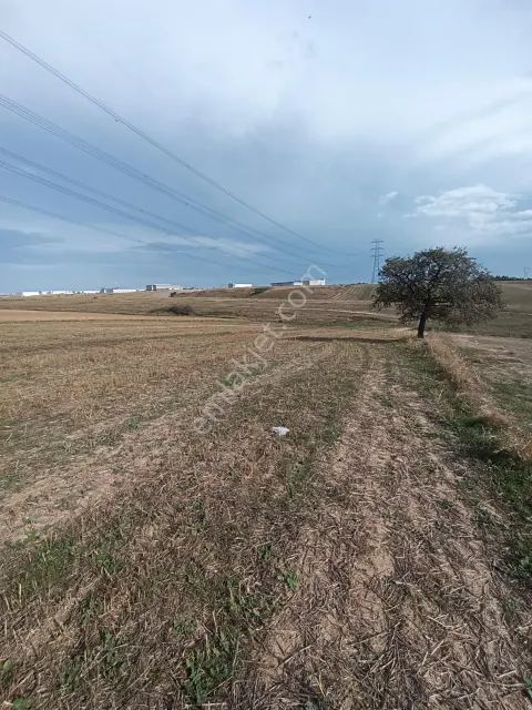 Sahibinden Çorlu Türkgücünde Sahibinden Satılık 11,500m2 Tarla