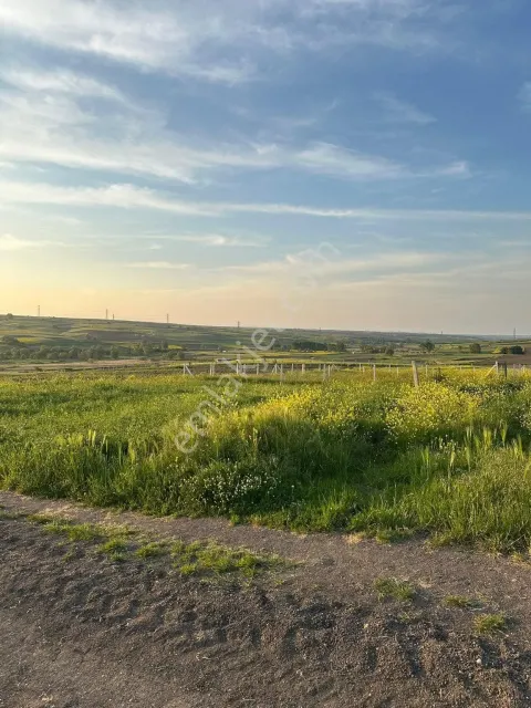 Sahibinden Alıcısına Hayırlı Olsun