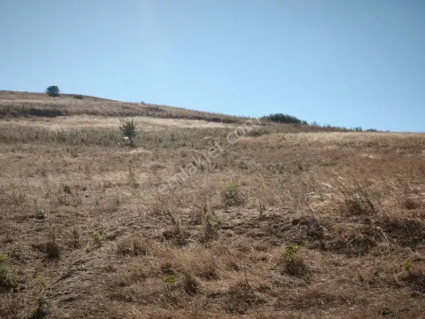 Sahibinden Balıkesir Karesi Şamlı Satılık Arsa