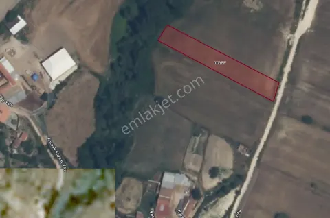 Sahibinden Edirne Enez Kocaali Köyü'nde Satılık 1822m² Müstakil Tapulu Arsa