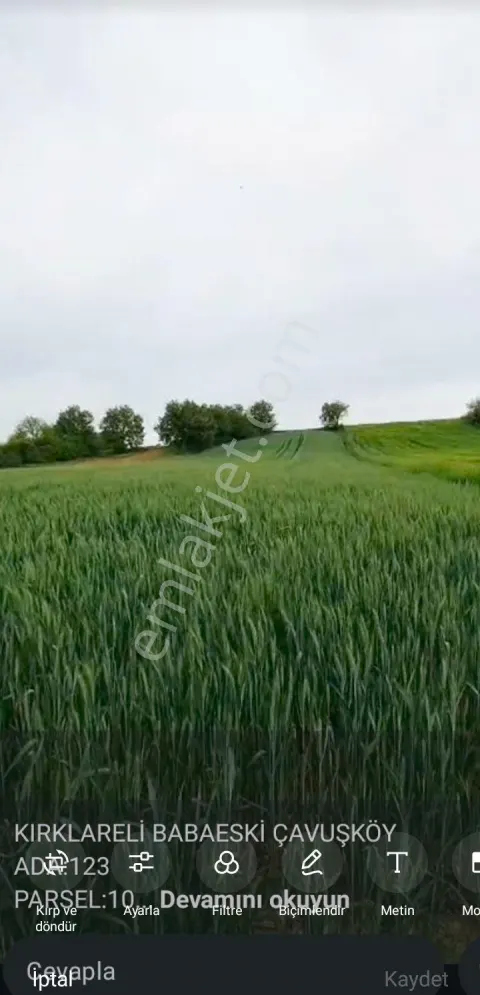 Sahibinden Depremden Sığınmak İçin Seninde Zemini Sağlam Yerden Toprağın Olsun