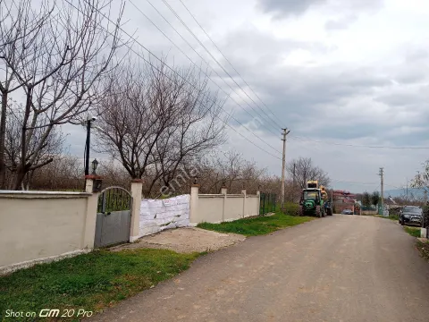 Sahibinden Doğa Manzaralı Fındık Bahçesi Arsa Yazlık Mevkiinde