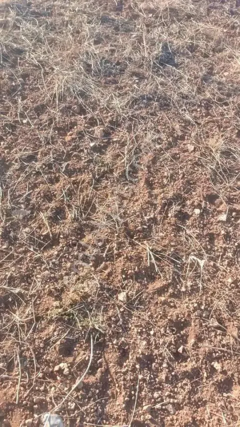 Sahibinden Cevher Dudayev Mah Yeni Çevre Yolu Ve İmara 1 Km Kupon Arazi