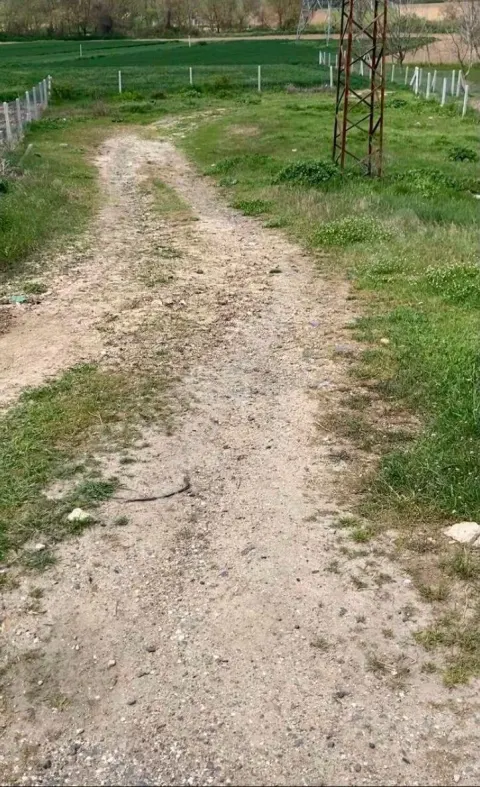 Sahibinden Kupon Arsa Villalara Komşu Orman Manzaralı 2,5 Kat İmarlı