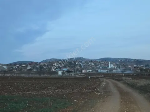 Sahibinden Denizli Bekilli Kutlubey Köyü 3,126 M2