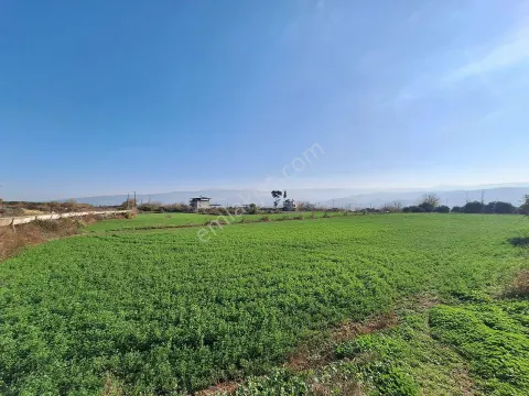 Horsunlu'da Anayol Kenarında Sahibinden Satılık Tarla