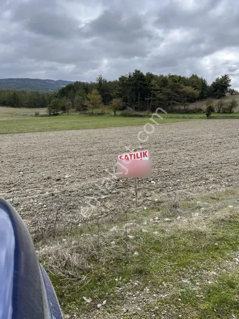 Sahibinden Satılık Tarla