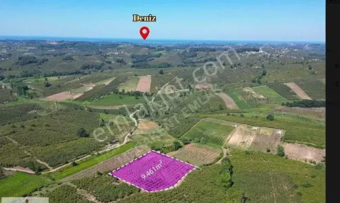 Sahibinden Ferizli Nalköy Satılık 9462 M² Verimli Fındık Bahçesi Ya Cok Amacli Kullanilabilir Açıkla