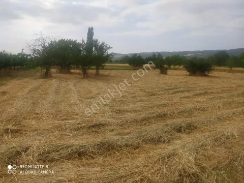 Sahibinden İnegöle Yakın 3.121 M² Tek Tapulu-suya Yakın-yolu Olan Tarla