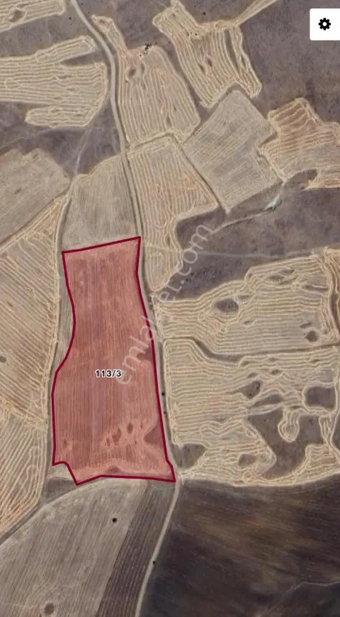 Sahibinden Yozgat Yazıpınar Köyü'nde 28.101,54 M Tarla - 113 Ada 3 Parsel | Diğer Parseller De Mevcut