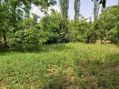Sahibinden Isparta, Şarkikaraağaç, Çarıksaraylar/cumhuriyet Mahallesi Satılık Bahçe 423,59m2