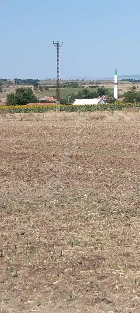 Köyün Dibinde Tarla Sahibinden Satılıktır