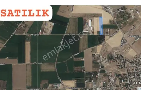 Sahibinden Develi-tombak'ta Mücavir Alanda Tarla