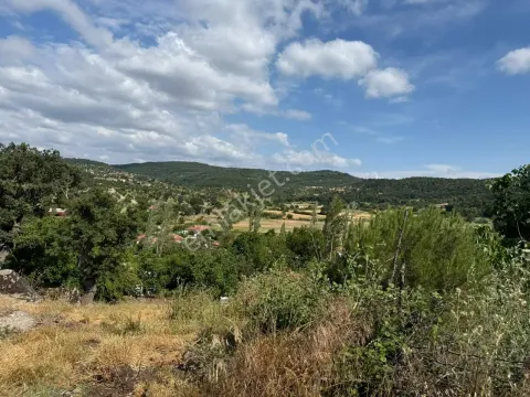 Sahibinden İvrindi Küçükfındıkta Köy İçi Köy Ve Doğa Manzaralı 470 M² Arsa